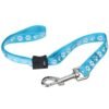 Groom Professional Amoz Pro 40 cm - nailono pavadėlis m1