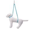 Groom Professional Dual Noose Blue